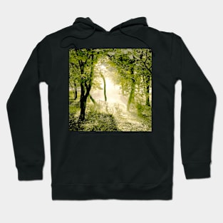 Morning Trees Hoodie